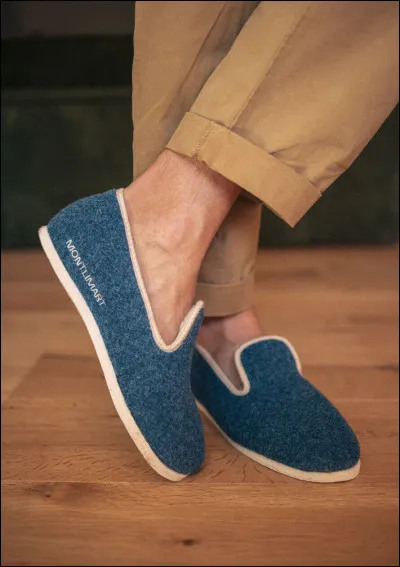 Est-ce que ce sont des chaussons de danse classique ?