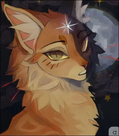 Si tu as dis oui, quel genre ?