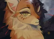 Test Ta vie de guerrier/guerrière - Partie 6 - Le mentor