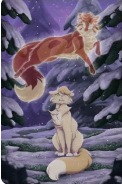 Quel type de personne es-tu ?