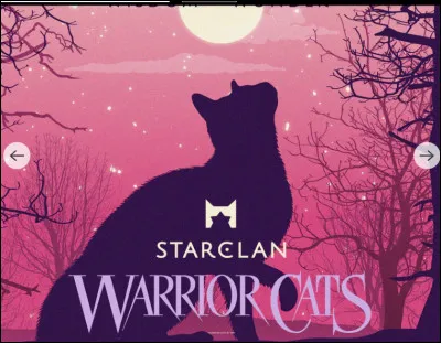 Comment es-tu ? Tu...