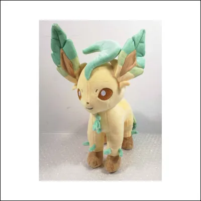 Quelle est cette évolution ?