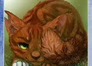 Quiz Lgdc : Poil dcureuil