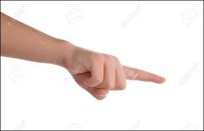 Sans le cycle 6, lImposteur exile certains membres du Clan du Tonnerre, Poil dÉcureuil en fait-elle partie ?