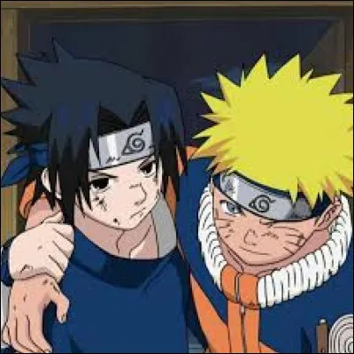 Quelle est la qualité la plus importante pour toi que ton ami devrait avoir ?