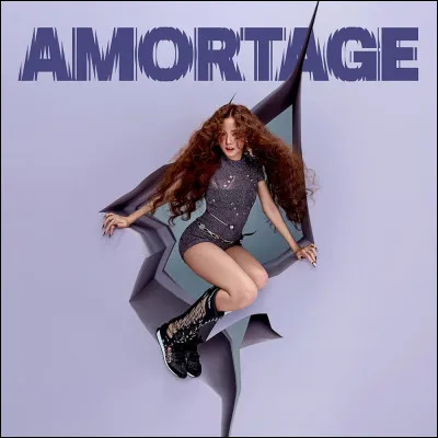 Veux-tu quelle soit dans ''Amortage'' ?