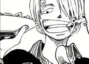 Quiz Les personnages de ''One Piece''