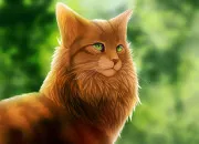 Quiz LGDC : Pelage de Lion