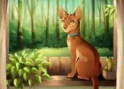 Quiz Reconnais le chat de LGDC sur limage