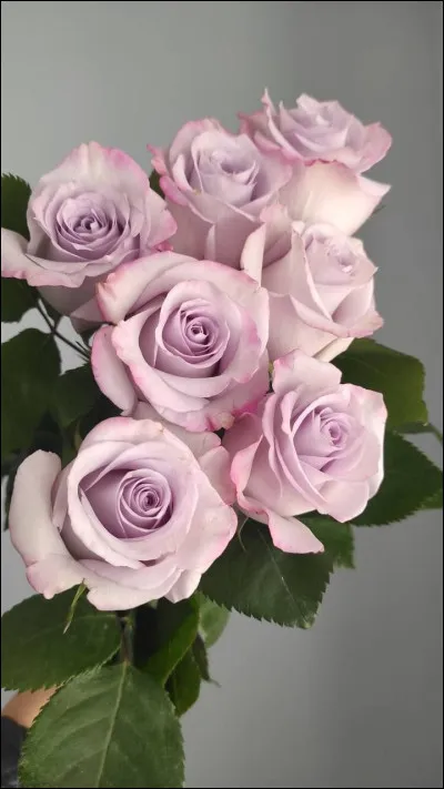 Aimes-tu cette image ?