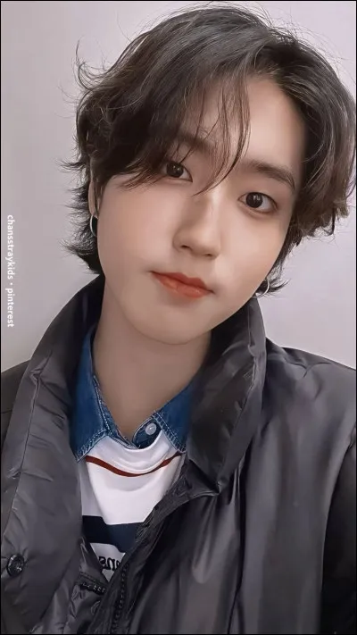 Quelle version du Skzoo de Han pr&eacute;f&egrave;res-tu ?