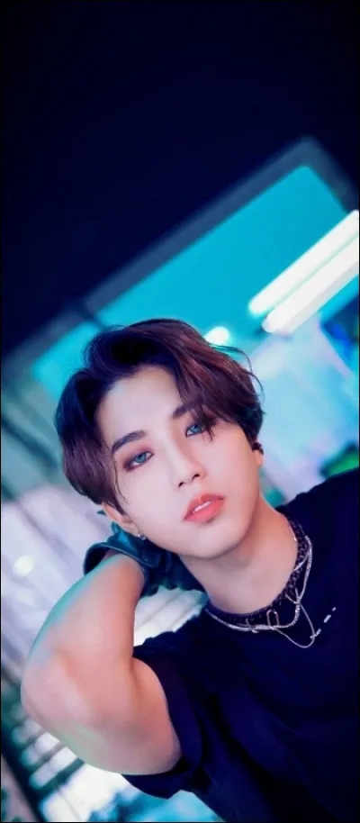 Que penses-tu de la chanson qu'Han a &eacute;crite, "The Tortoise and the Hare" ?