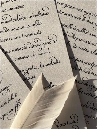 Laquelle de ces images te fait sentir calme ? (2/2)