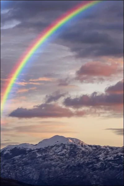 Et pour terminer, quelle couleur préfères-tu ? (2/2)