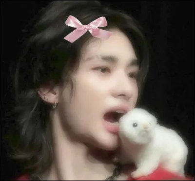 Est-ce que tu préfères travailler seul(e) ou en groupe ?