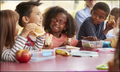 Quel métier rêvait d'exercer Nicole Wallace quand elle était enfant ?