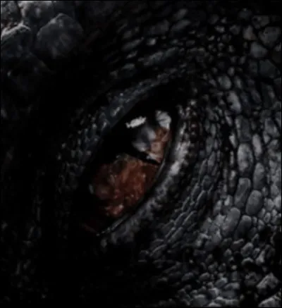 Comment s'appellent-ils ?