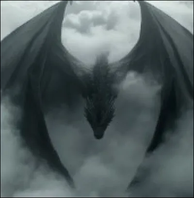 Par qui est-elle attirée ?