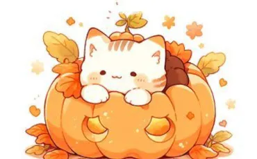 Quiz Test de personnalit