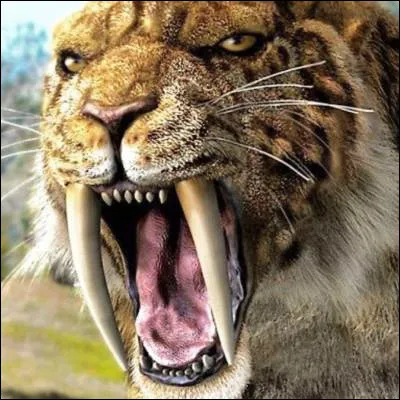 Quel animal, autrefois appelé vache marine, porte un nom venant du lapon ?