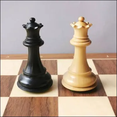 Comment se nomme cette pièce d'échecs ?