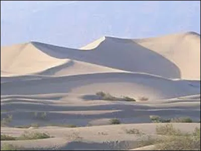 Comment sappelait le gardien des dragonnets du destin ?
(Toujours un Aile de Sable !)