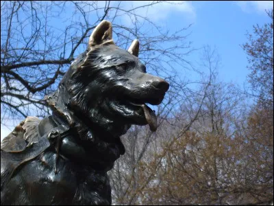 Quelle ville possède une statue de chien devenue monument national ?