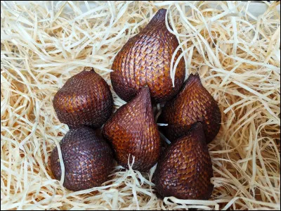 Quel fruit était appelé fruit du serpent à cause de sa peau écailleuse ?