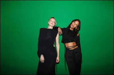 À quel duo féminin de DJ doit-on le tube "I Love It" en 2013 ?