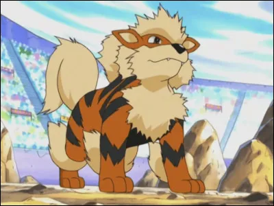 Quel est ce Pok&eacute;mon ?