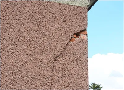 Quel animal a la gestation la plus longue ?