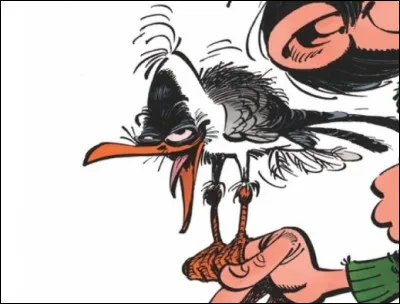 Dans quelle s&eacute;rie de bande dessin&eacute;e peut-on croiser cette mouette rieuse ?
