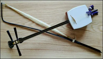 Quel est le nom de cet instrument de musique japonais joué avec un archet ?