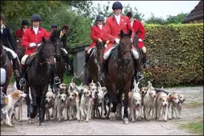 La chasse à ... est toujours pratiquée