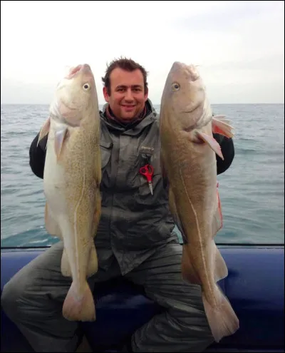 Quel est le plat traditionnel anglais souvent servi avec des petits pois ?