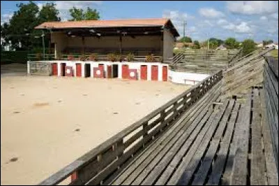 Je vous propose de faire une halte aux arènes de Larbey. Village de l'arrondissement de Dax, il se situe dans l'ancienne région ...