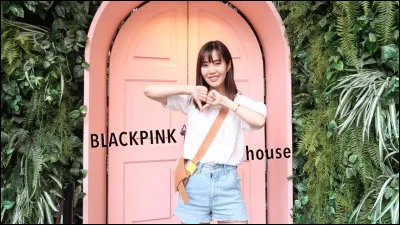 Quel est ton animal pr&eacute;f&eacute;r&eacute; ?