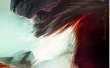 Quiz Test de personnalit