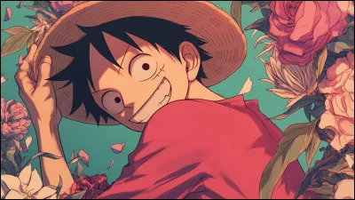 Luffy est dans...