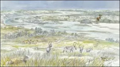 Le Magdalénien, particulièrement connu pour son outillage et pour les gravures - est la dernière culture archéologique du paléolithique supérieur en Europe de l'Ouest : il se situe