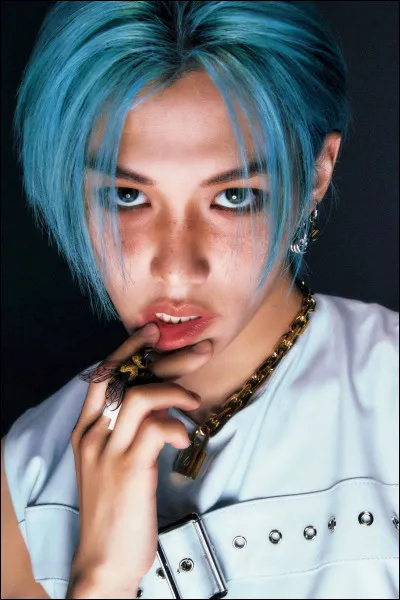 Comment appelle-t-on les fans ?