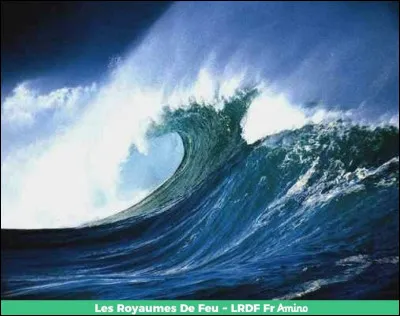 Qui tue les ufs (féminins) de Corail ?