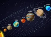 Test Quelle plante es-tu ?