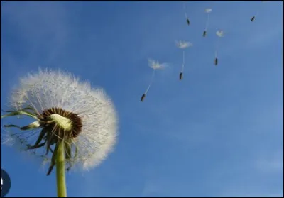 Quel avenir espères-tu ?
