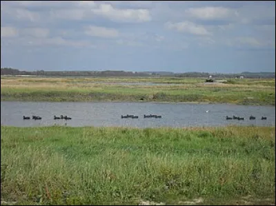 Il est possible de changer une brique en morceau de bois. Il suffit pour cela de changer le...