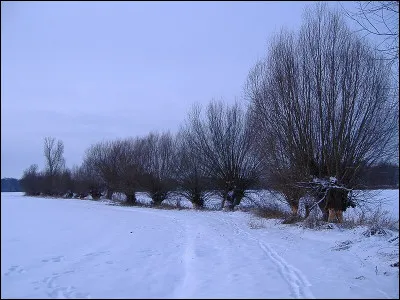 Pour pouvoir manger une percée, vous devrez changer le...