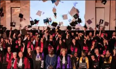 Quel est le serment des médecins ?