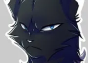 Test Quel personnage tes-vous dans LGDC ?