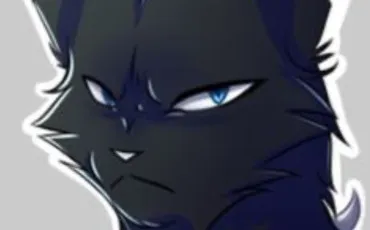 Quiz Test de personnalit