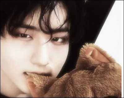 Où aimerais-tu vivre pendant quelques années ?